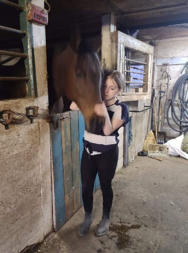 Cheval au box et cavalière