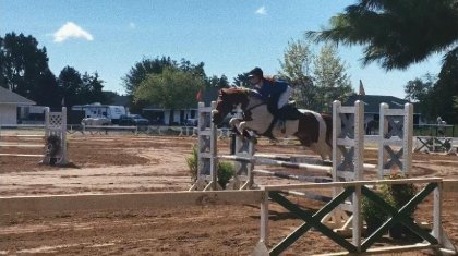 Cheval et cavalier sautant un obstacle