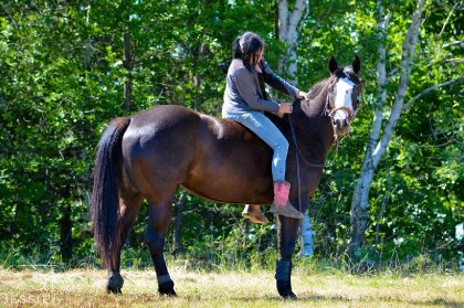 &#128052; Fanny &#128247; @Jessie photographie 