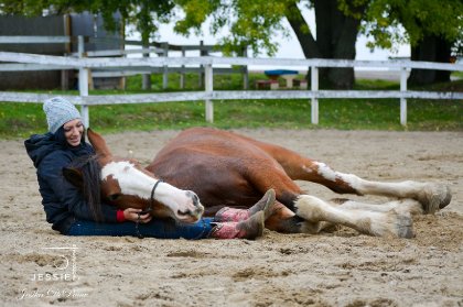 &#128052; Trésor, clydesdale &#128247; @Jessie photographie 