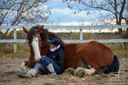 &#128052; Trésor, clydesdale &#128247; @Jessie photographie 