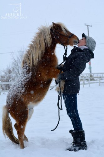 &#128052; peanut &#128247; @Jessie photographie 