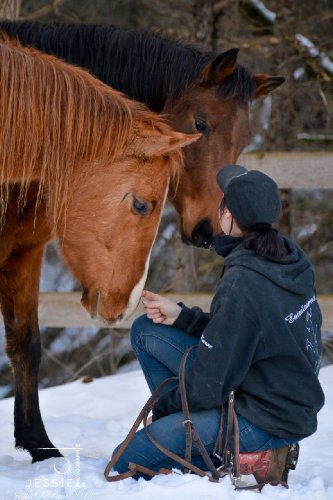 &#128052; Holly & Martha &#128247; @jessie photographie 