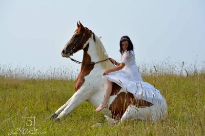 &#128052; Magic &#128247; @Jessie photographie 