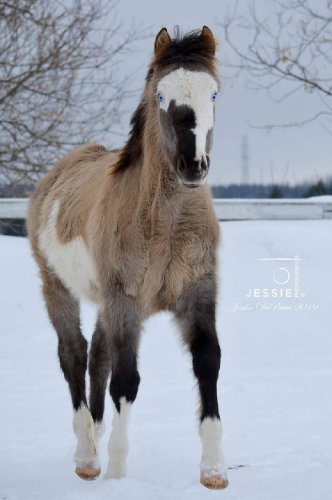 &#128052; Fiftyshades of gunner &#128247; @jessie photographie 