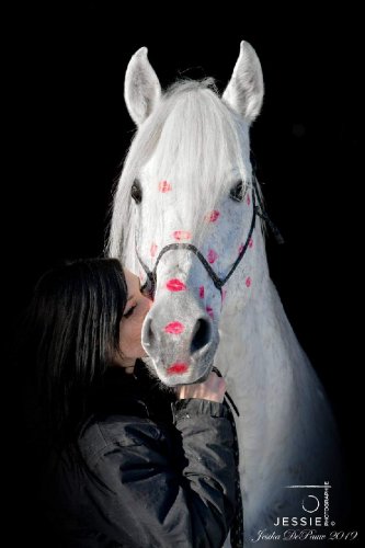 &#128052; Mosto II &#128247; @jessie photographie 