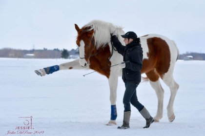 &#128052; Magic &#128247; @Jessie photographie 