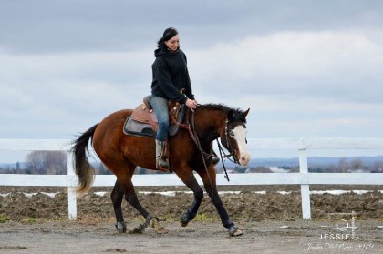 &#128052; Spook yuba gun lors d'une séance d'entraînement...