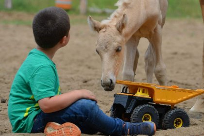 &#128052; Stormy &#128100; mon fils Bryan &#128247; @jessie...