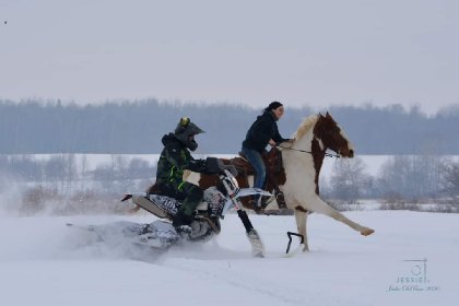 &#128052; Magic &#128100; André &#127949; &#128247; @jessie...