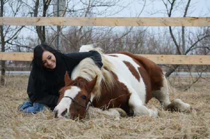 &#128052; Magic &#128247; @Jessie photographie 