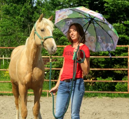 photo par Ninie