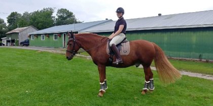 On a fait du dressage ce week-end mon et Montana