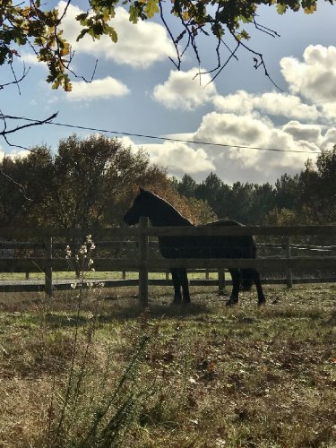 photo par Mathi40