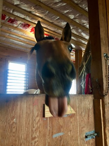 Minie qui grimace!