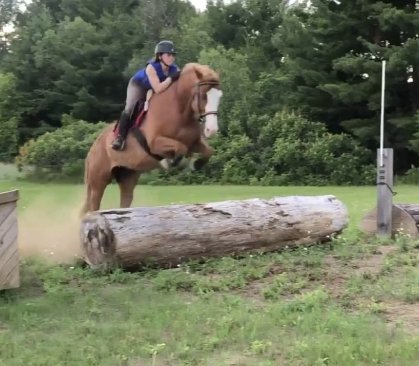 Premier saut de cross