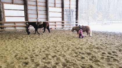 Enfin j'ai mon cheval à moi ! je veux faire comme ma grande sur...