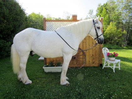 Déjà 23 ans pour Silver.Le temps passe vite.