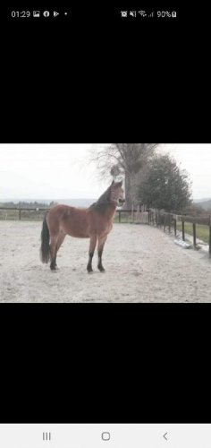 Mon dieu comme tu me manques&#128148;&#128052;