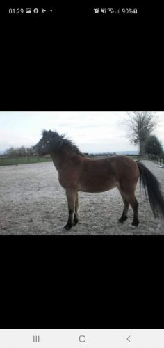 Mon dieu comme tu me manques&#128148;&#128052;