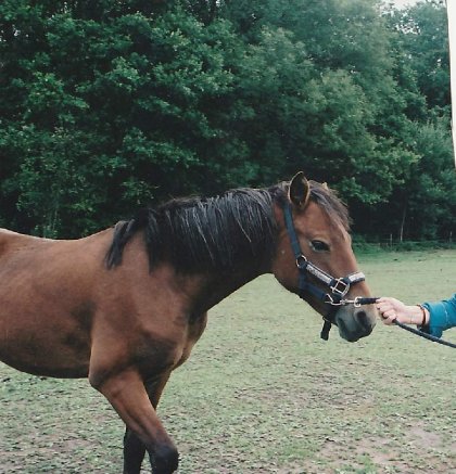 Mon dieu comme tu me manques&#128148;&#128052;