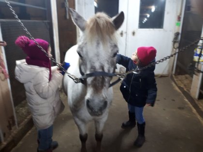 Mes 2 princesse pour la première fois avec un poney je suis...