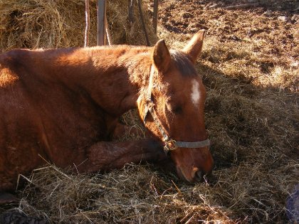 photo par spotchoux