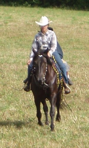 Deux cavaliers sur un cheval