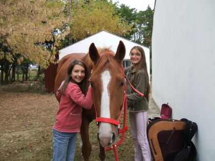 Mes filles aux petits soins pour mon beau trotteur avant la...