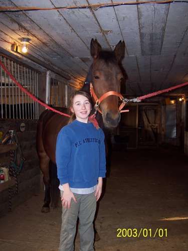 Ma bestah pi sa jument Tamylee:) Standartbred de 13.3 !