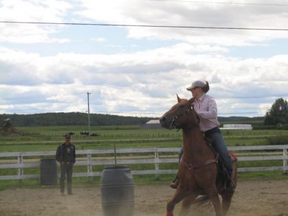 Cheval en baril