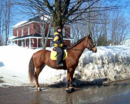 Rando avec Jolly... pas le choix de faire de la route, les...