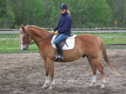 Cavalière sur cheval
