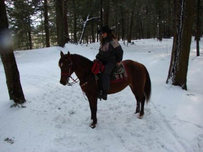 Randonnée équestre en hiver