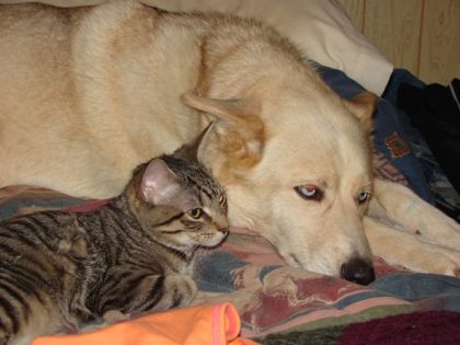 mes 2 petits monstres