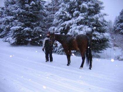 Malgr&eacute; tout la neige donne de beaux paysages!