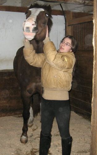Un cheval se fait gratter