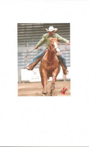 caillou brousseau et cooper justice st-tite 2004