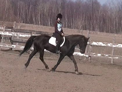 Qara et moi durant une petite scéance de dressage (19.04.2008)