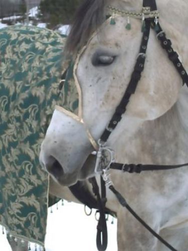 voici ma princesse thai dans son royaume