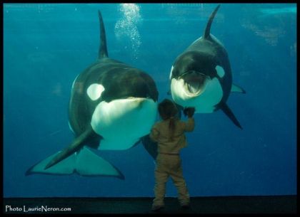 Takara et sa fille Kohana ont l'air de trouver très intéressante...