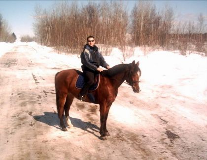 Cavalier et cheval brun
