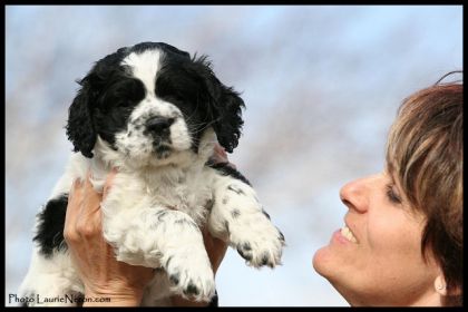 Saphir 5 semaines! Comment ne pas résister a une bouille pareil!