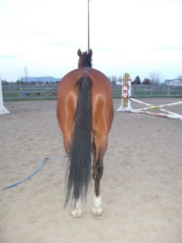 Trop marante la photo lol On dirait qu'il a une t&ecirc;te de punaise...