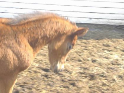 Tuffy qui s'&eacute;nerve l&agrave; !!:)