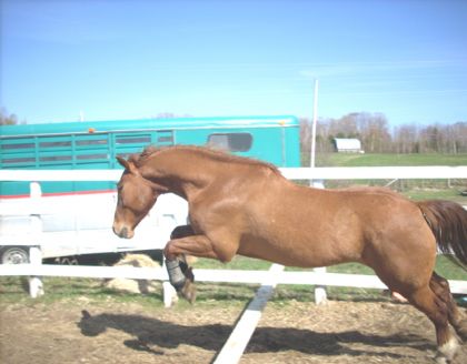 Flash la tache qui saute une ptite barre!