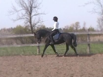 Qara et moi  en dressage (10.05.2008)