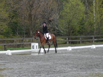Jane & moi, en dressage à Tandalee. notre 1er test de l'année!