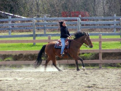 au galop (photo prise par Kayla)
