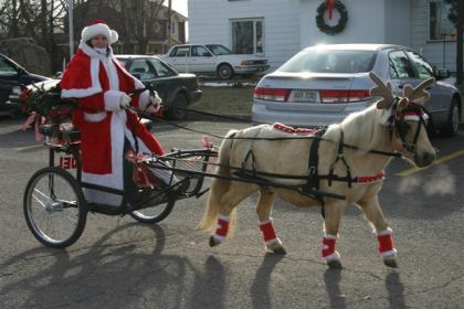 Cheval déguisé en rêne trainant le traineau du père Noël